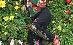 99久久国产露脸精品竹菊传煤